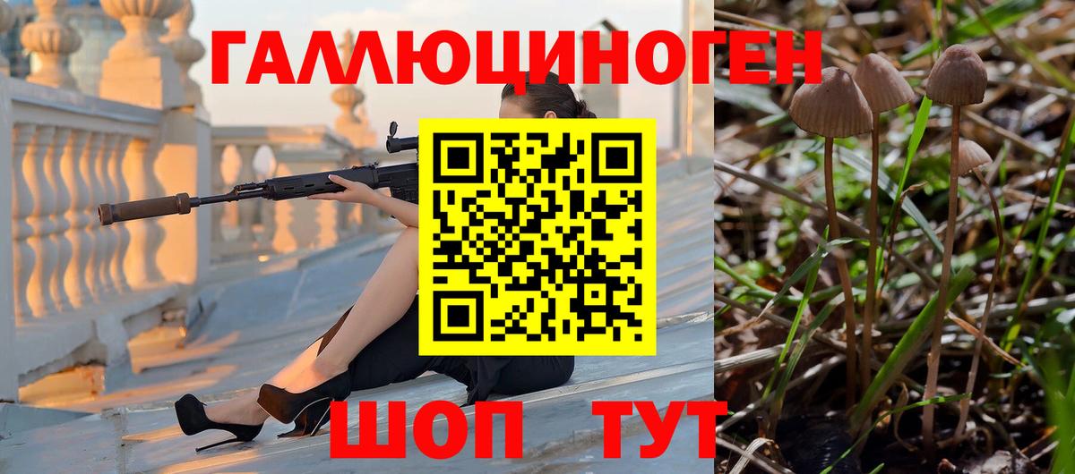 Псилоцибиновые грибы MAGIC MUSHROOMS  Вход с VPN  Пыть-Ях  Галлюциногенные грибы Psilocybine cubensis 